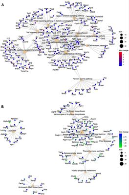 Comparative analysis of basal and etoposide-induced alterations in gene expression by DNA-PKcs kinase activity